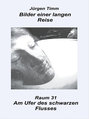 cover image of Raum 31 Am Ufer des schwarzen Flusses